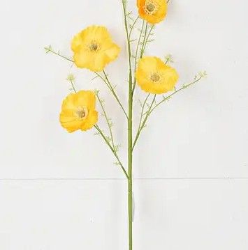 25in Wrinkle Poppy-Yellow