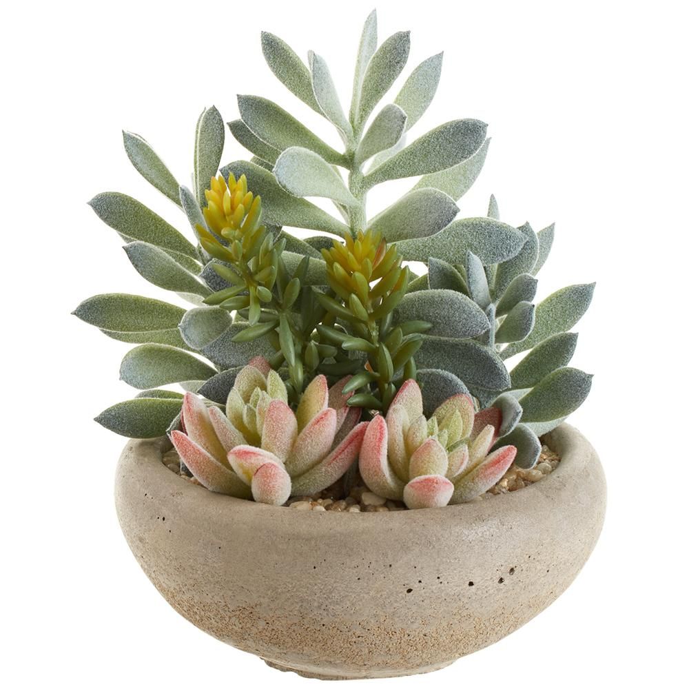 7.5&quot; Succulent Garden in Pot