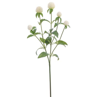 25.5&quot; Globe Thistle Spray Cream