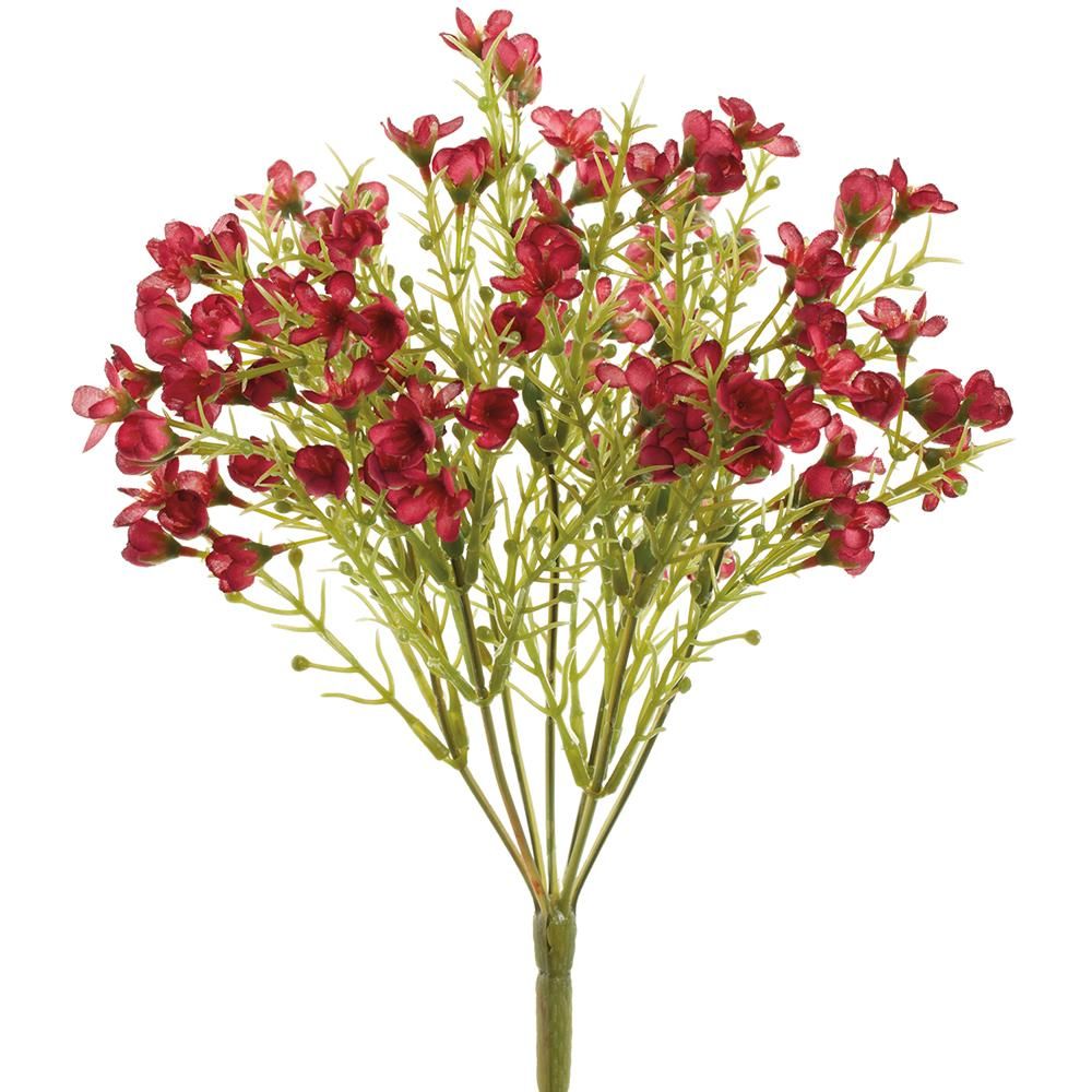 11&quot; Waxflower Bush Beauty