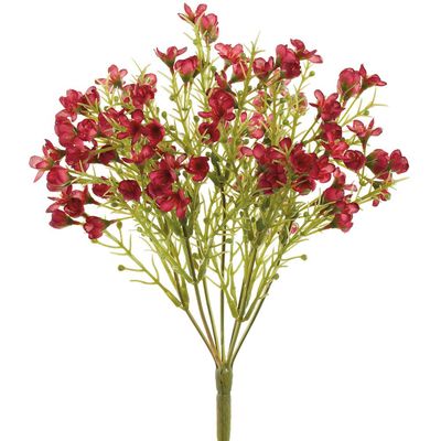11&quot; Waxflower Bush Beauty