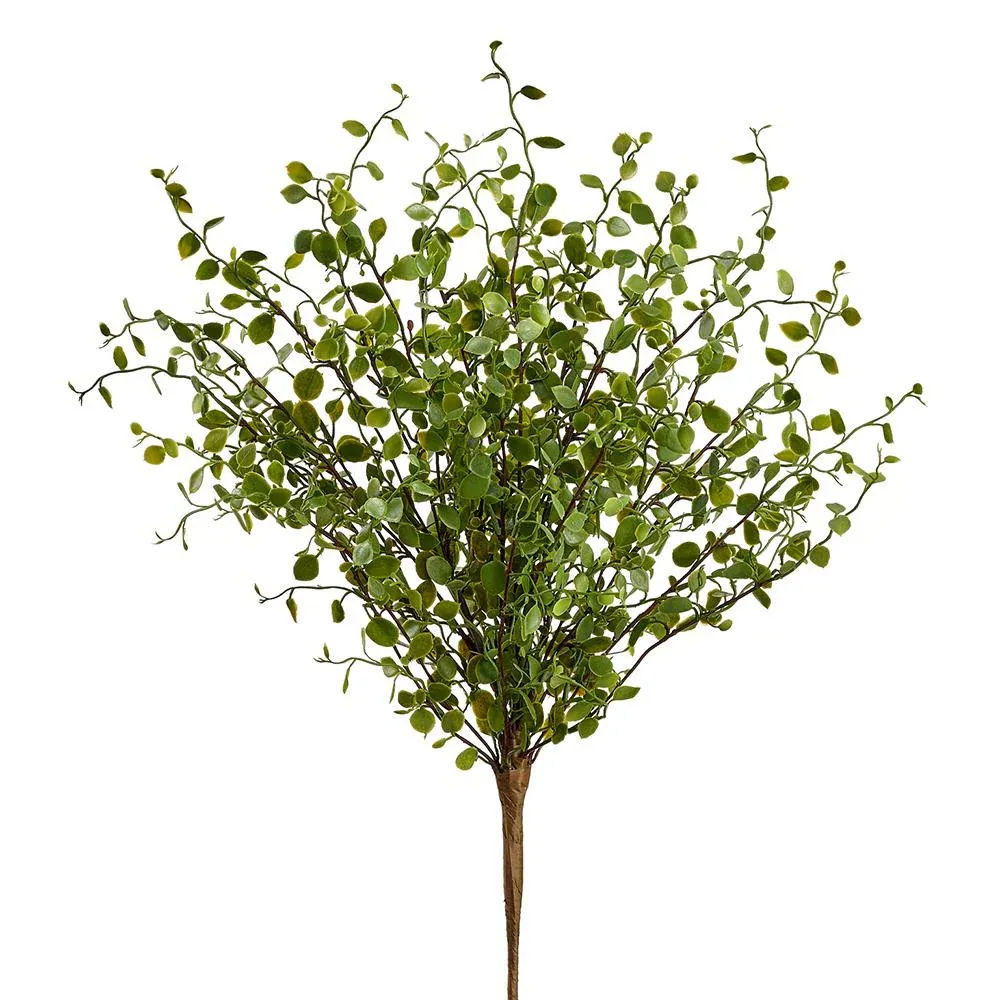 10&quot; Muehlenbeckia Wire Bush Green