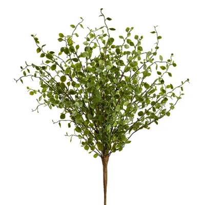 10&quot; Muehlenbeckia Wire Bush Green