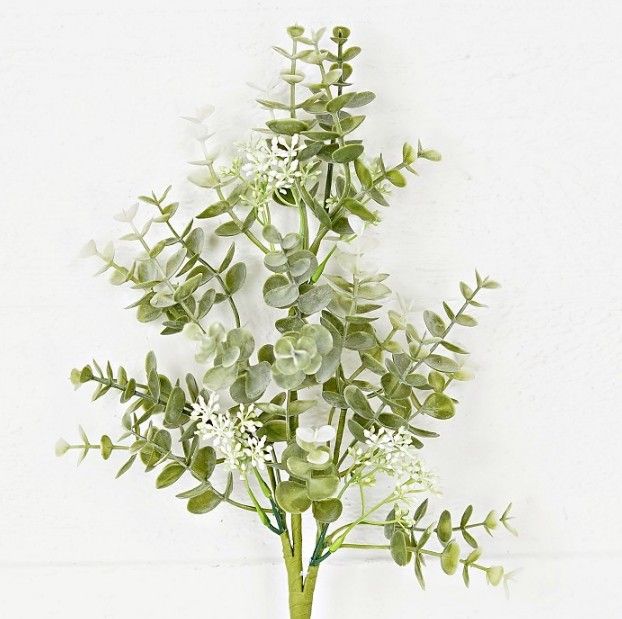 19in Bush-Sage Eucalyptus with Seeds
