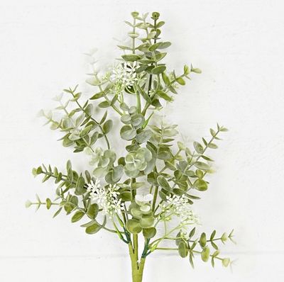 19in Bush-Sage Eucalyptus with Seeds