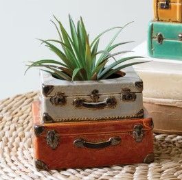 Ceramic Suit Cases Planter Double