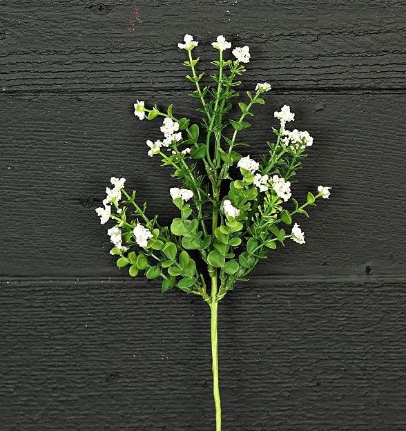Baby Breath with Eucalyptus Cream Pick 12in