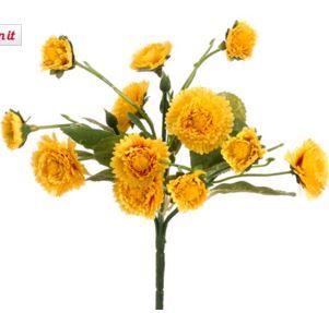 Yellow Calendula Bush 8.5&#39;&#39;