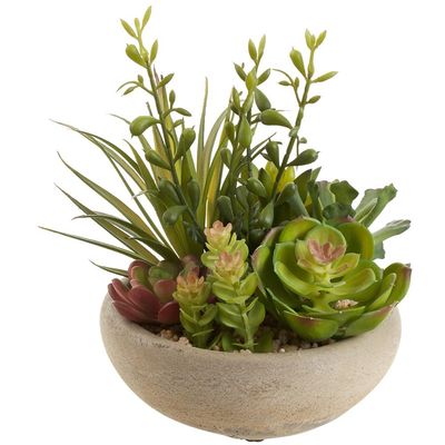10&quot; Crassula in Cement Pot