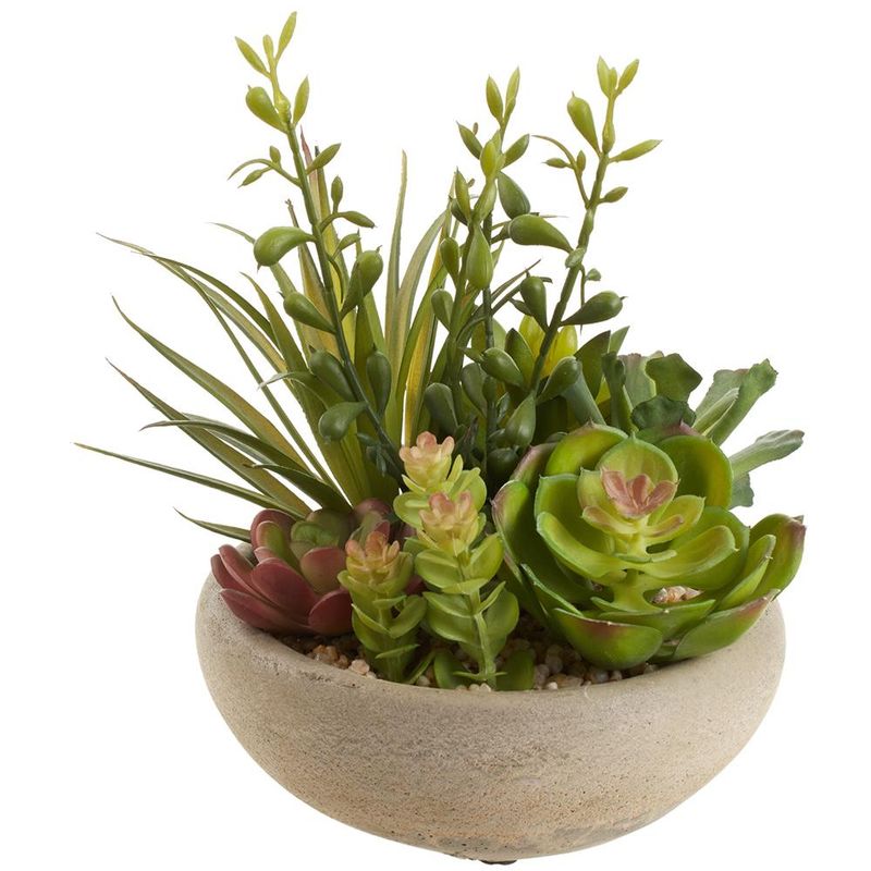 10&quot; Crassula in Cement Pot
