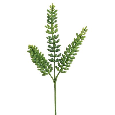 11&quot; Donkey Tail Spray