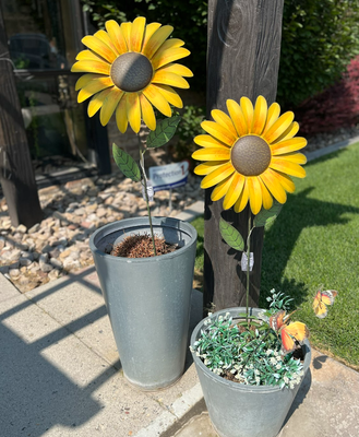 Porch &amp; Patio Goals: Outdoor Decorating Made Simple with Rod Works