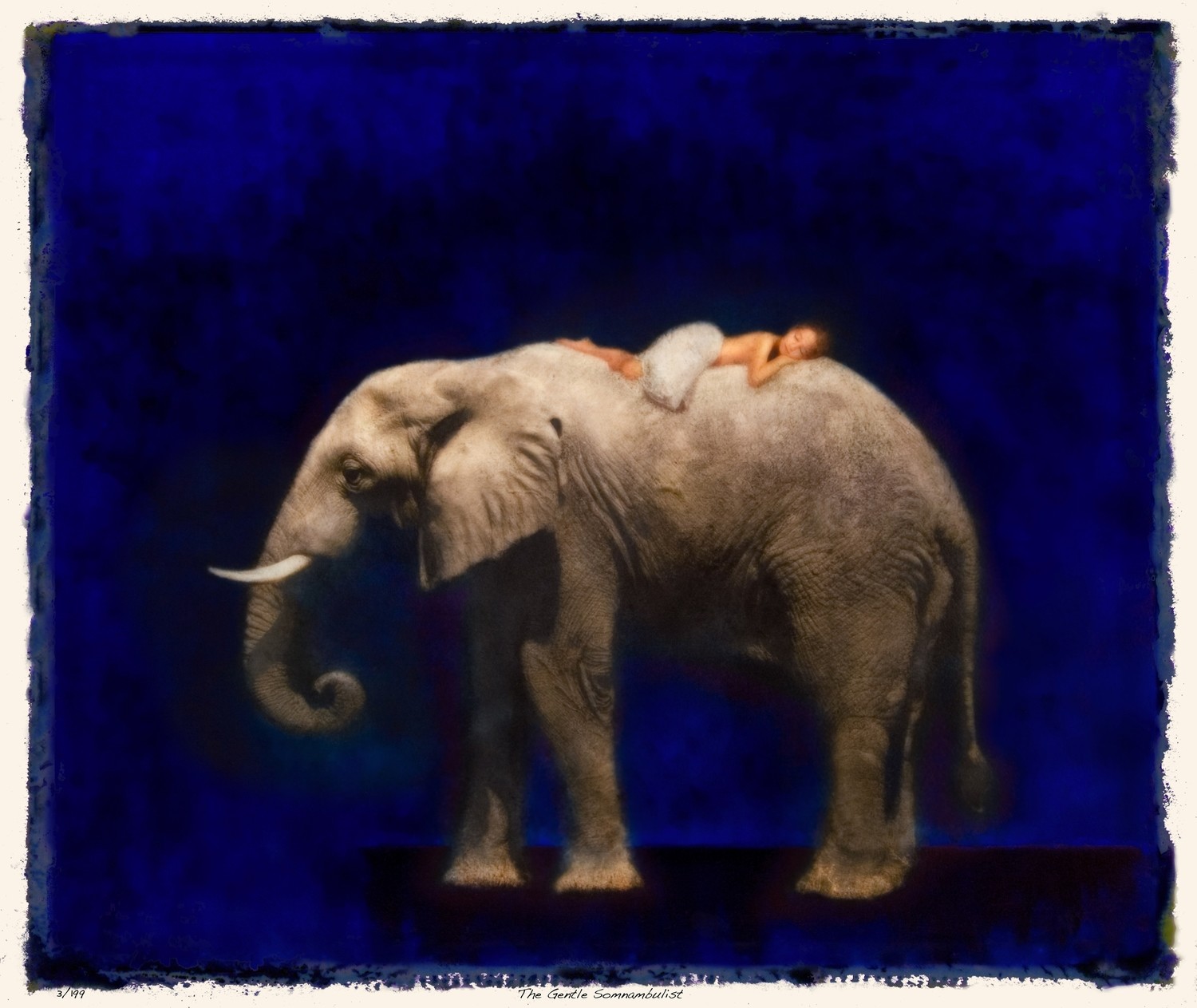 THE GENTLE SOMNAMBULIST Limited Edition Print