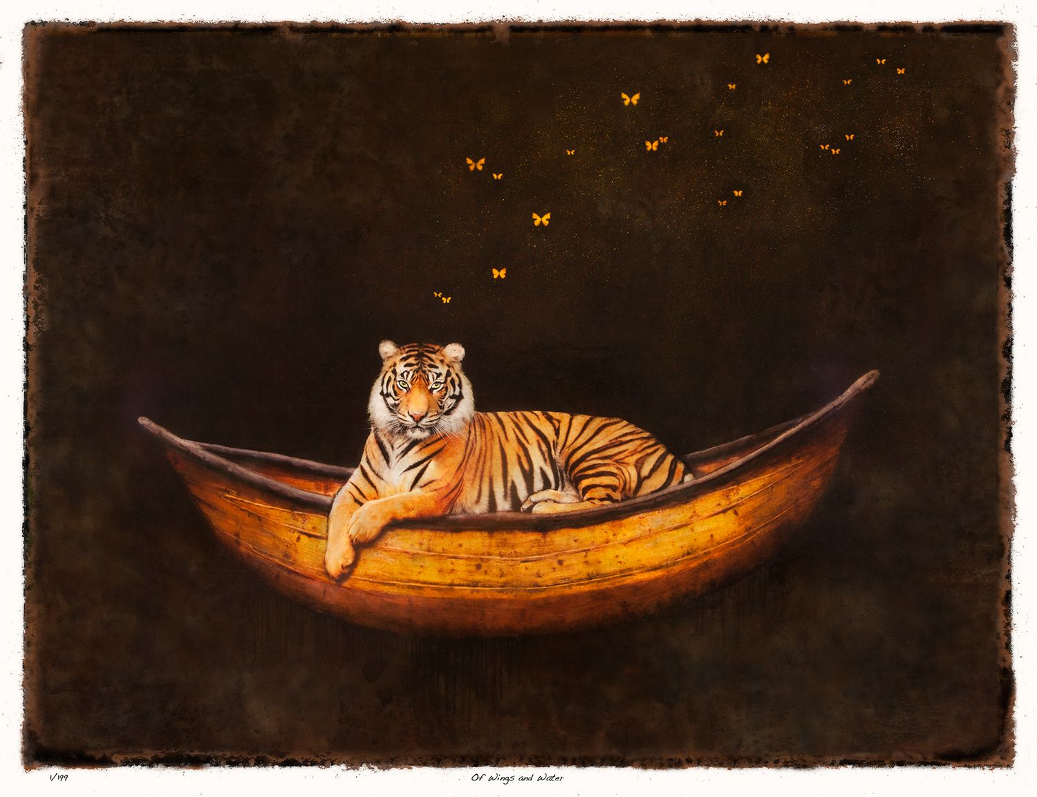 OF WINGS AND WATER  Limited Edition Print