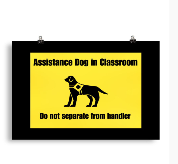 Assistance/Service dogs