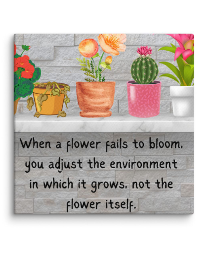Homewares and Home decors