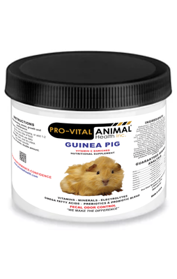 Guinea Pig Supplement