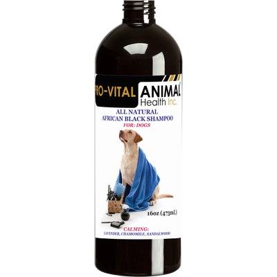 African Black Shampoo for Dogs- Calming- 16oz (473mL)