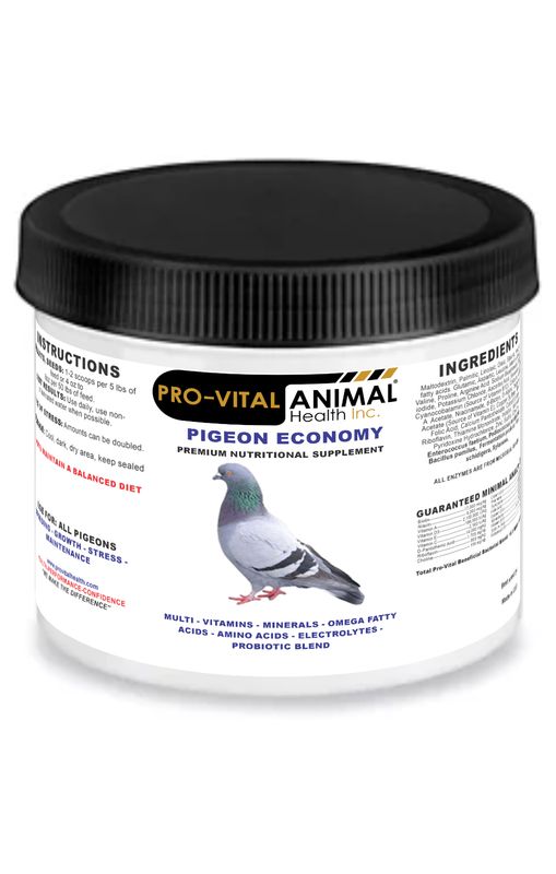 Pigeon Economy