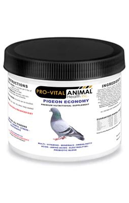 Pigeon Economy