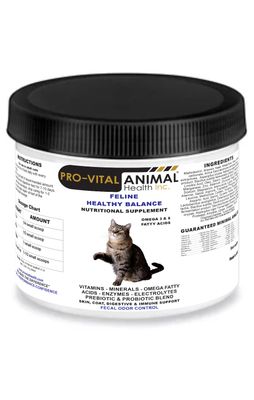 Adult Feline Healthy Life