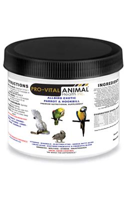 AllBird Exotic Parrot and Hookbill