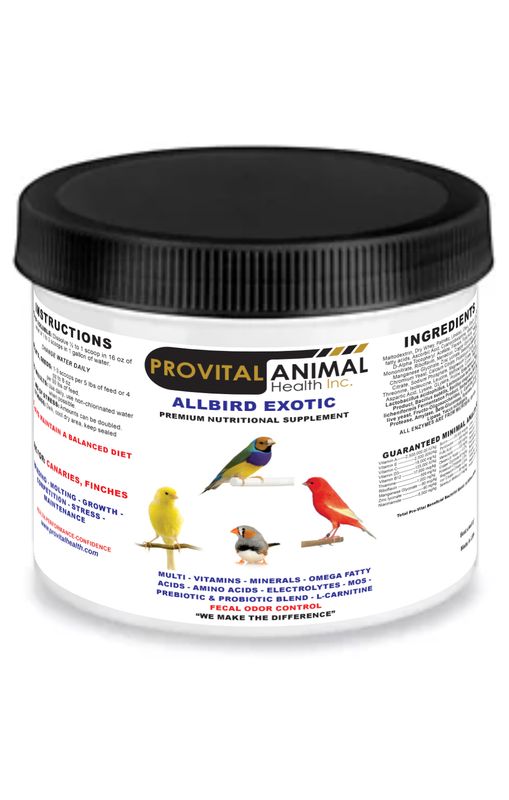 AllBird Exotic Canary &amp; Finch