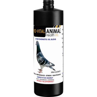 5 Star Energetic Oil Blend for Pigeons 16oz (473mL)