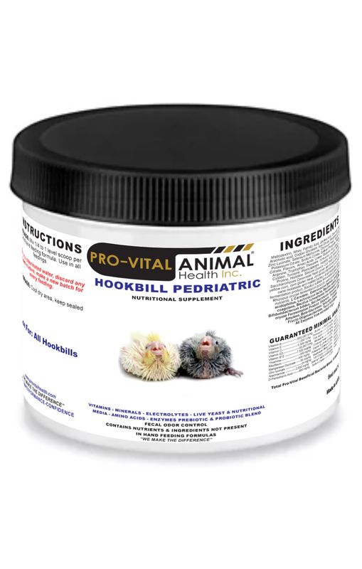 AllBird Exotic- Hookbill Pediatrics