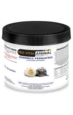 AllBird Exotic- Hookbill Pediatrics