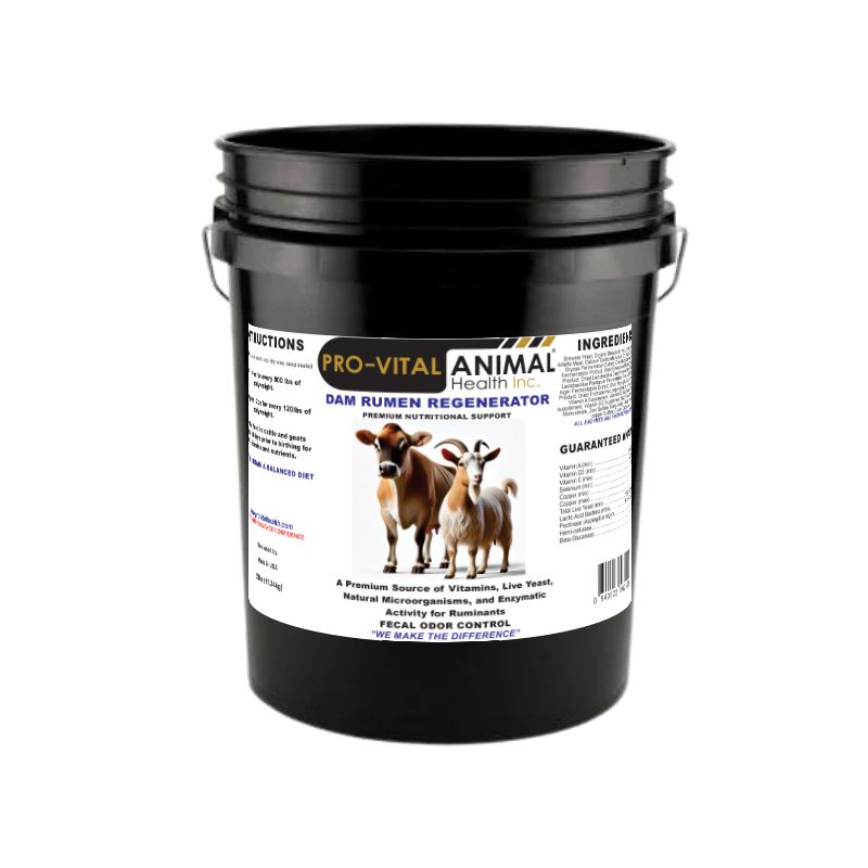 Dam Rumen Regenerator- Super Concentrated 25lb pail