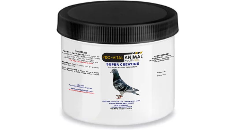 Pigeon Super Creatine
