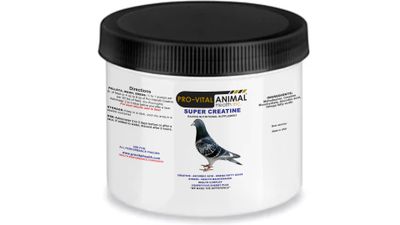 Pigeon Super Creatine