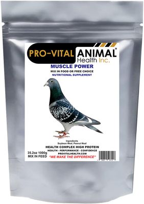 Pigeon Muscle Power