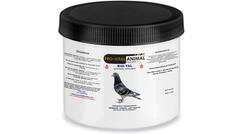 Pigeon Bio-Tal: Digestive and Immune Support