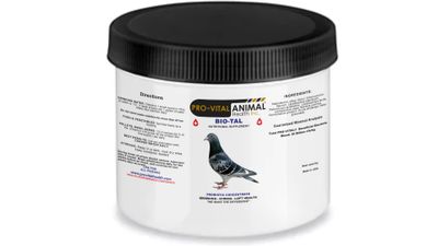 Pigeon Bio-Tal: Digestive and Immune Support