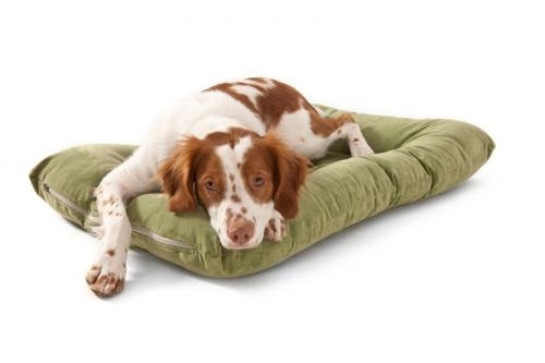Drifter Dog Bed