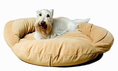 Velvet Microfiber Bolster Bed with Optional Personalization.