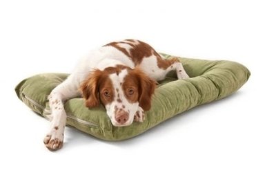 Drifter Dog Bed