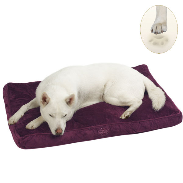 Plush Memory Foam Dog Bed