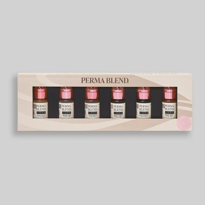 PERMA BLEND LUXE READY-SET-GO  (COFFRET)