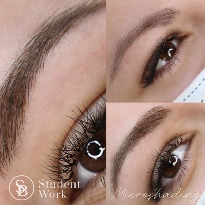 FORMATION MICROSHADING (trousse incluse) -E-LEARNING
