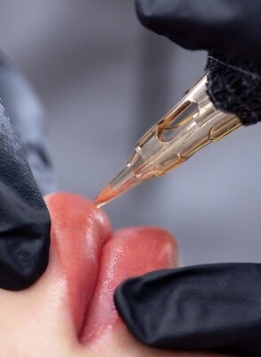 FORMATION LIPBLUSH (trousse incluse) -  E-LEARNING