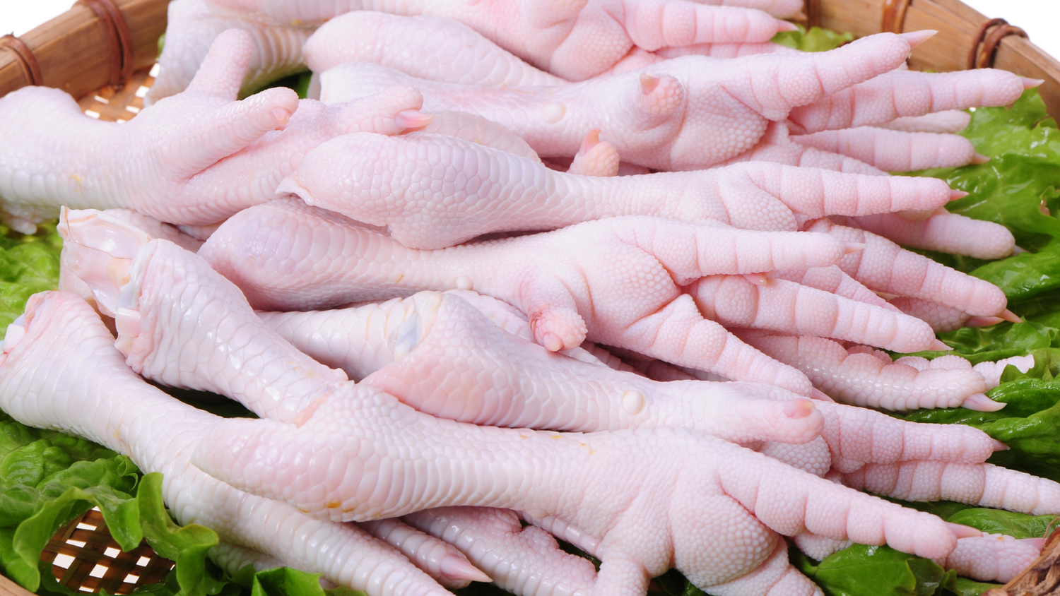 Chicken Feet