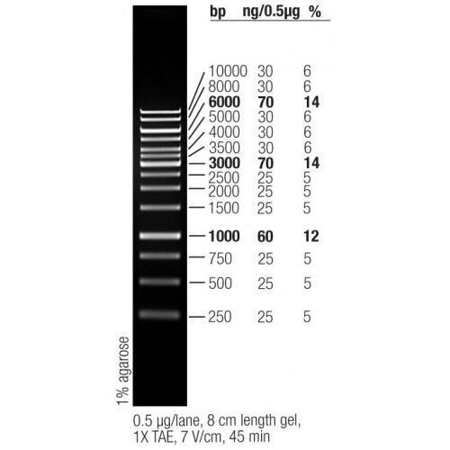 1Kb DNA Ladder 14 bands pre-mixed with loading buffer: 250, 500, 750, 1000, 1500, 2000, 2500, 3000, 3500, 4000, 5000, 6000, 8000 and 10000bp, 5x250ul, BF100501 (MEIP90302)