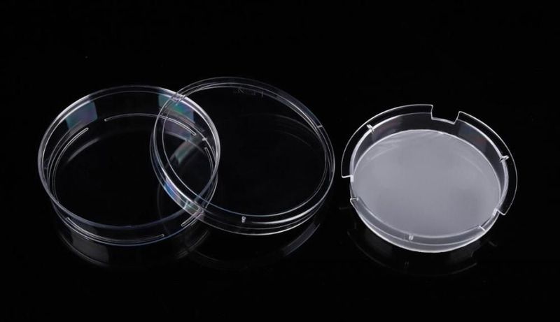 100mm Cell Culture Insert-Dish, 3.0 μm, PC Membrane, Translucent, TC, Sterile, 1/pk, 10/cs, 726001