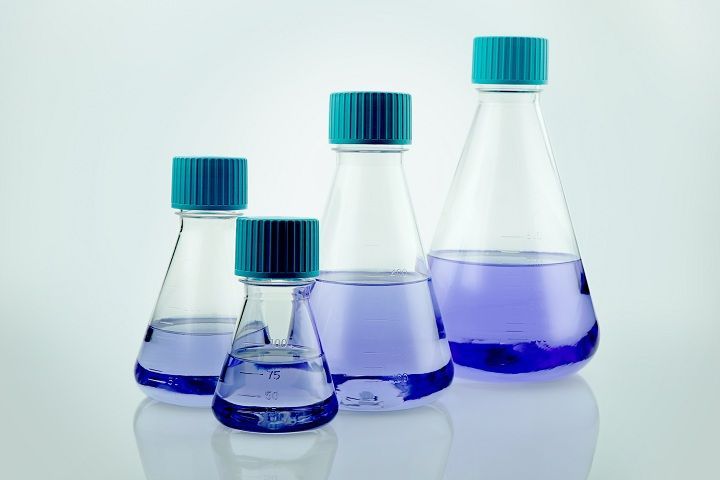 125ml PETG Erlenmeyer Flask, Non-treated, Vent Cap, Flat Bottom, Sterile, 1/pk, 24/cs (TAB102125)