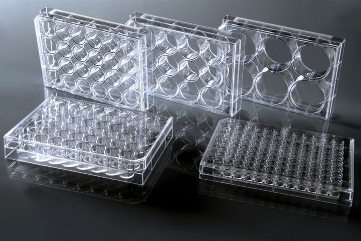 48 Well Cell Culture Plate, Bulk (748002)