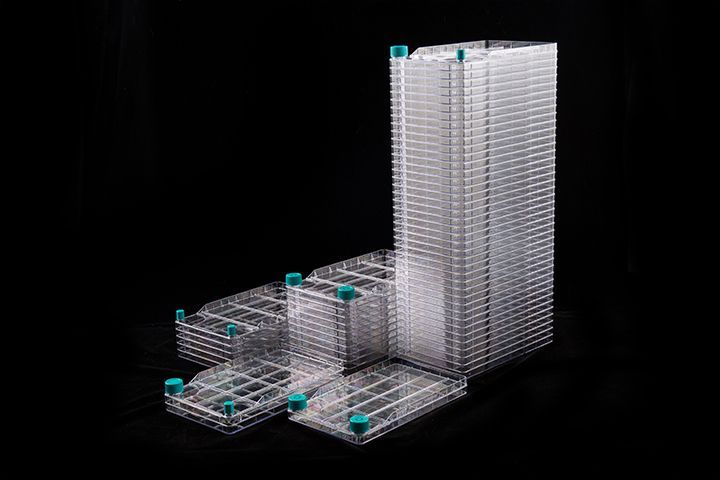 Nest BioFactory 2 Chamber, 1 Wide Vent Cap + 1 Narrow Plug Seal Cap, Total culture area: 1279cm; 2TC; sterile, 8/cs (773101)