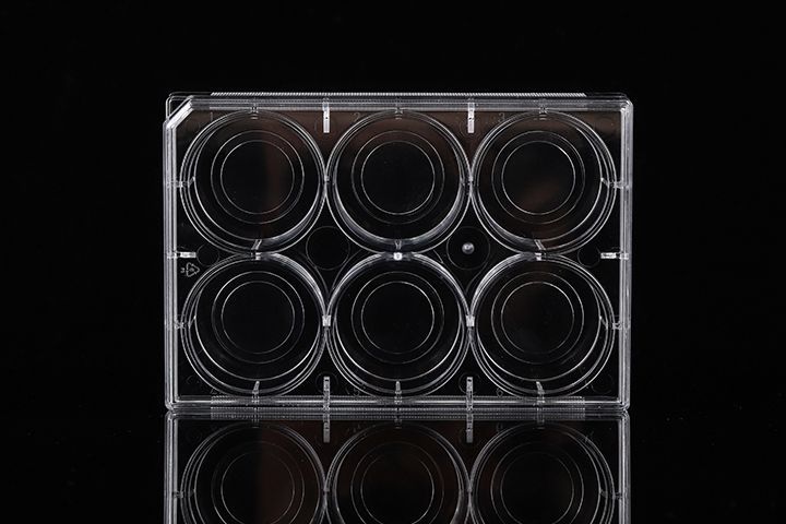 6 Well Glass Bottom Cell Culture Plate, Φ 20mm #1.5 Cover Glass, TC, sterile, 1/pk, 10/cs, 801004